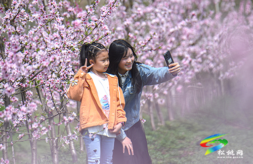 松桃：陽春三月賞桃花 農(nóng)旅融合助增收