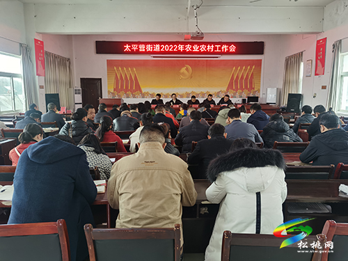 太平營街道：不負(fù)春光搶農(nóng)時，多措并舉保春耕
