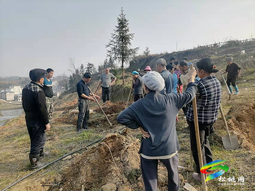 太平營街道：不負(fù)春光搶農(nóng)時，多措并舉保春耕