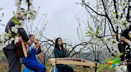 當(dāng)音樂遇上鮮花 | 巧用文創(chuàng)提高旅游愉悅性