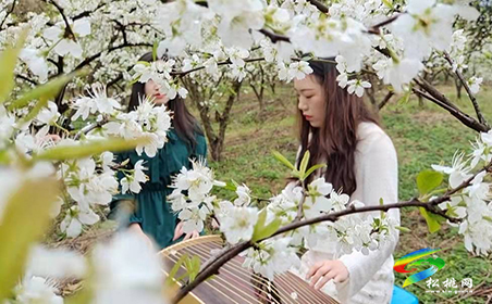 當(dāng)音樂遇上鮮花 | 巧用文創(chuàng)提高旅游愉悅性