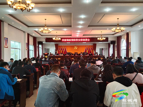 黃板鎮(zhèn)：構(gòu)建“四網(wǎng)”格局，全力筑牢疫情防控安全屏障