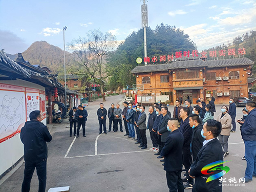 沿河縣委政法委一行到盤石鎮(zhèn)參觀平安建設(shè)工作