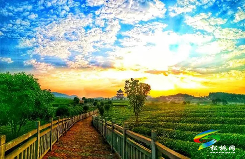棉花山研學(xué)示范基地入選貴州省首批十大研學(xué)旅行基地