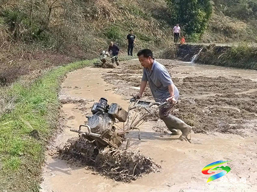 長興堡鎮(zhèn)：“五個到位”繪就春季農(nóng)忙圖