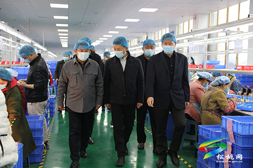 李康弘到松桃開展開發(fā)區(qū)高質(zhì)量發(fā)展專項檢查工作