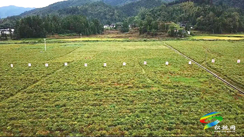 松桃：黨建引領(lǐng)溫暖就業(yè)路