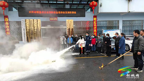 大坪場鎮(zhèn)召開重點企業(yè)消防安全培訓(xùn)會