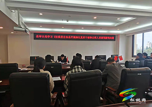 松桃審計(jì)局“三個一”舉措促進(jìn)黨員干部和公職人員酒駕醉駕問題集中整治工作