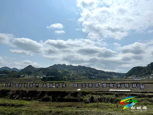 妙隘鄉(xiāng)：“三舉措”優(yōu)化產(chǎn)業(yè)布局，開創(chuàng)鄉(xiāng)村振興新篇章