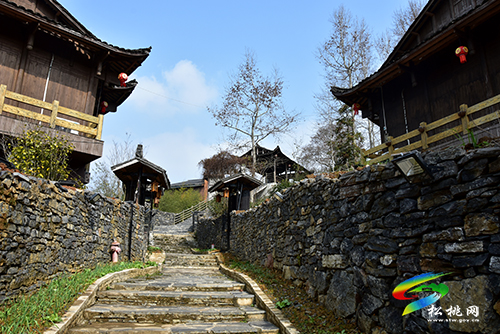正大鎮(zhèn)“三強化”推進特色田園鄉(xiāng)村建設(shè)