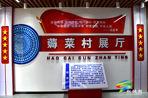 正大鎮(zhèn)“三強化”推進特色田園鄉(xiāng)村建設(shè)