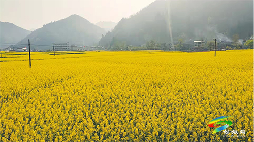 永安鄉(xiāng)“四早”同謀吹響全鄉(xiāng)春耕春種集結(jié)號(hào)