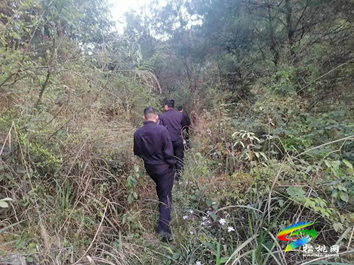 松桃：男子深山迷路 民警徹夜尋回