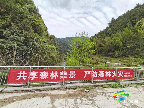 冷水溪鎮(zhèn)：堅持“三高”抓實森林防火工作
