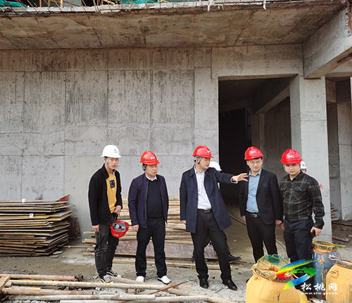 ​楊秀強(qiáng)到綠城悅府、將相名門等建筑工地督導(dǎo)檢查安全生產(chǎn)工作