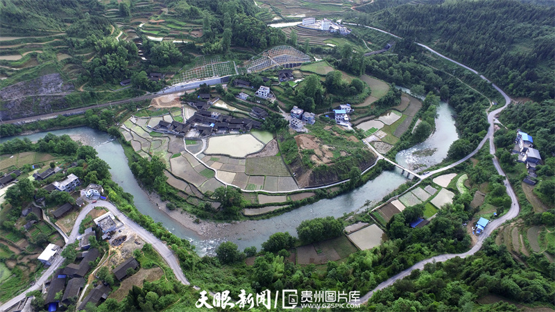 我家門前看變化㉔丨芭蕉灣景美人勤有活力