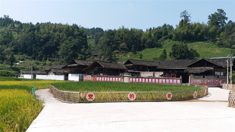 我家門前看變化㉔丨芭蕉灣景美人勤有活力