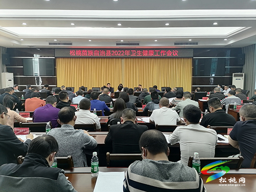 全縣2022年衛(wèi)生健康工作會議召開