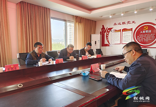 全縣民宿產(chǎn)業(yè)工作啟動會召開