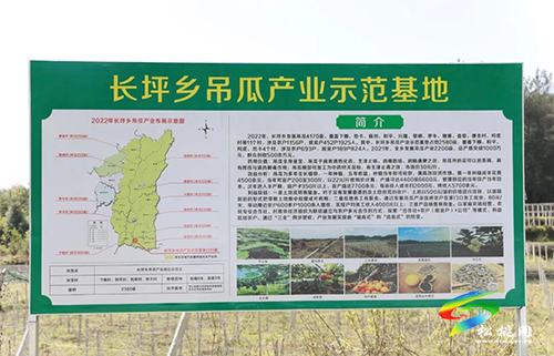 長坪鄉(xiāng)：特色產(chǎn)業(yè)繪就鄉(xiāng)村振興新畫卷