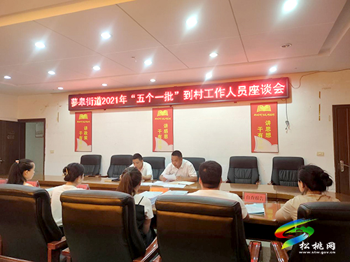 蓼皋街道：建強(qiáng)三支隊(duì)伍，為鄉(xiāng)村振興提速