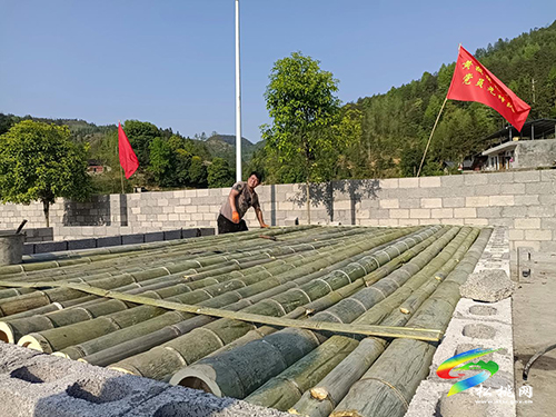 黃板鎮(zhèn)：枹木村黨員先鋒隊開展“我為群眾辦實事”實踐活動