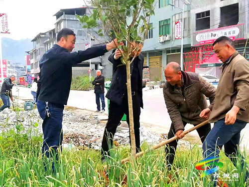 甘龍鎮(zhèn)：讓風(fēng)景走進(jìn)村莊讓綠色點(diǎn)亮鄉(xiāng)村