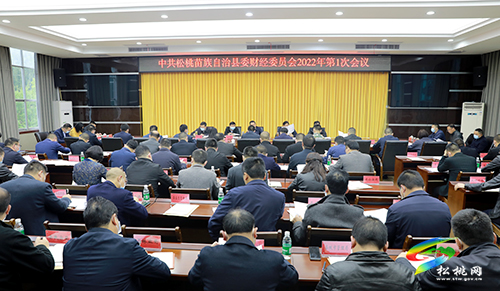 縣委財(cái)經(jīng)委員會(huì)2022年第1次會(huì)議召開(kāi)
