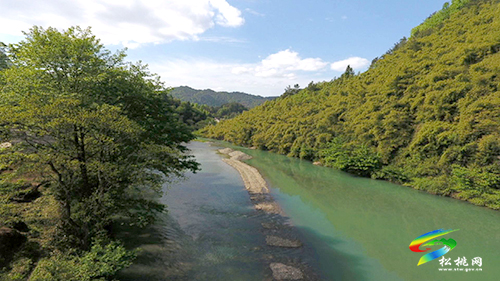 【沿著高速看變化⑪】妙隘鄉(xiāng):荒山變果園　百姓笑開顏