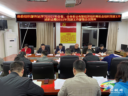 松桃：“三抓三力”系統(tǒng)推進(jìn)非公黨建高質(zhì)量發(fā)展