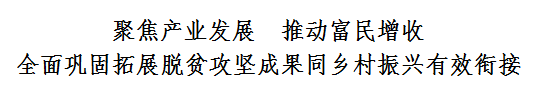 龍群躍到長(zhǎng)坪盤石調(diào)研時(shí)強(qiáng)調(diào)