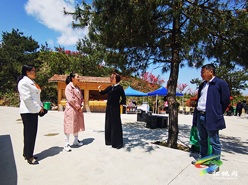 石小莉一行到長坪、盤信調(diào)研鄉(xiāng)村旅游產(chǎn)業(yè)發(fā)展工作