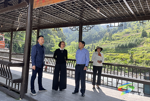 石小莉一行到長坪、盤信調(diào)研鄉(xiāng)村旅游產(chǎn)業(yè)發(fā)展工作