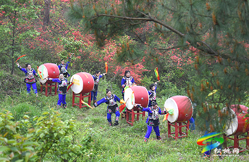飛靈山杜鵑花競(jìng)相綻放　大批游客紛至沓來(lái)