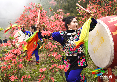 飛靈山杜鵑花競(jìng)相綻放　大批游客紛至沓來(lái)