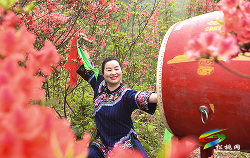 飛靈山杜鵑花競(jìng)相綻放　大批游客紛至沓來(lái)
