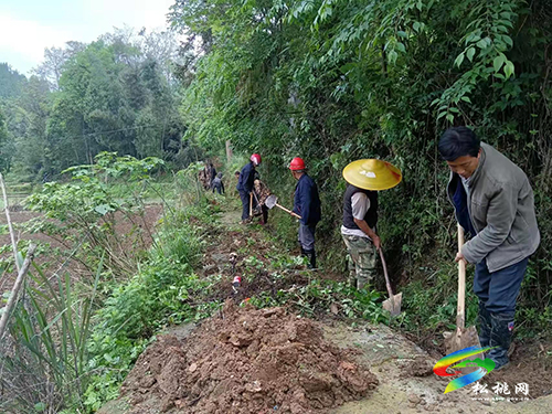 世昌街道：干群齊心，助力旱地變良田