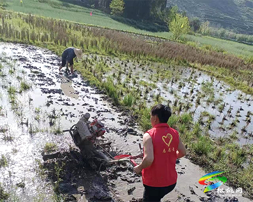 世昌街道：干群齊心，助力旱地變良田