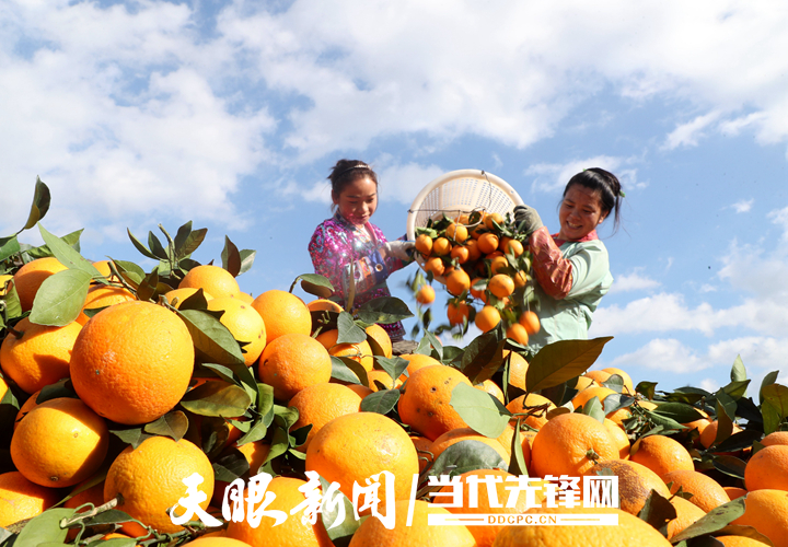 極不平凡！看省黨代會報告里的八個“今日貴州”