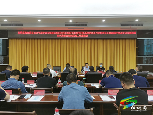 松桃苗族自治縣2021年度非公有制經(jīng)濟(jì)組織和社會(huì)組織黨組織書記抓基層黨建工作述職評(píng)議會(huì)暨2022年全縣非公有制經(jīng)濟(jì)組織和社會(huì)組織黨建工作推進(jìn)會(huì)召開
