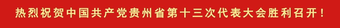 松桃職校參加貴州省職業(yè)院校師生技能大賽再獲佳績