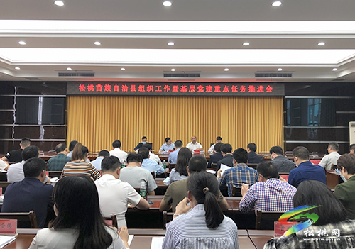 松桃組織工作暨基層黨建重點(diǎn)任務(wù)推進(jìn)會(huì)召開