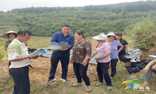 普覺鎮(zhèn)開展道路交通“打非治違”聯(lián)合專項(xiàng)整治行動(dòng)