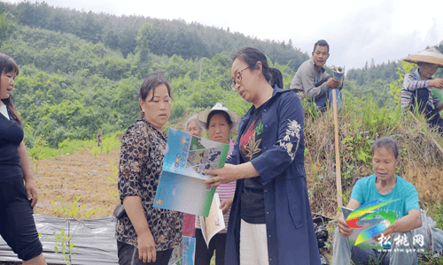 普覺鎮(zhèn)開展道路交通“打非治違”聯(lián)合專項(xiàng)整治行動(dòng)