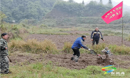 沙壩河鄉(xiāng)：布谷鳥鳴催人勤 　八十坡下春耕忙