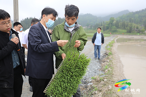 2022年全市農(nóng)業(yè)機(jī)械化現(xiàn)場(chǎng)推進(jìn)會(huì)召開