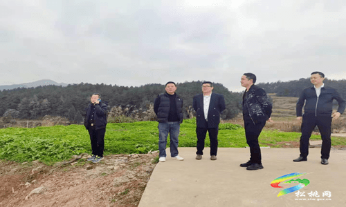畜牧獸醫(yī)戰(zhàn)線上走出的“土專家” ——記松桃縣管專家姚振華