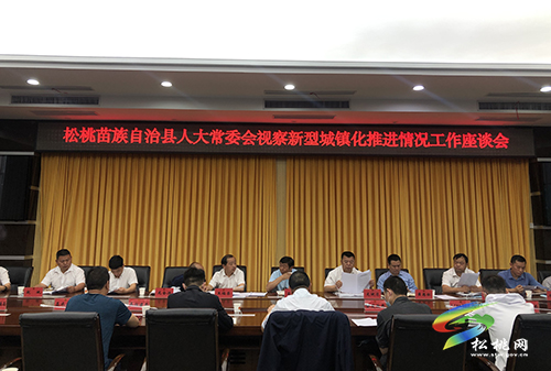 松桃人大常委會(huì)視察新型城鎮(zhèn)化推進(jìn)情況并召開座談會(huì)