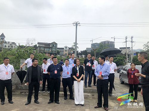 松桃人大常委會(huì)視察新型城鎮(zhèn)化推進(jìn)情況并召開座談會(huì)
